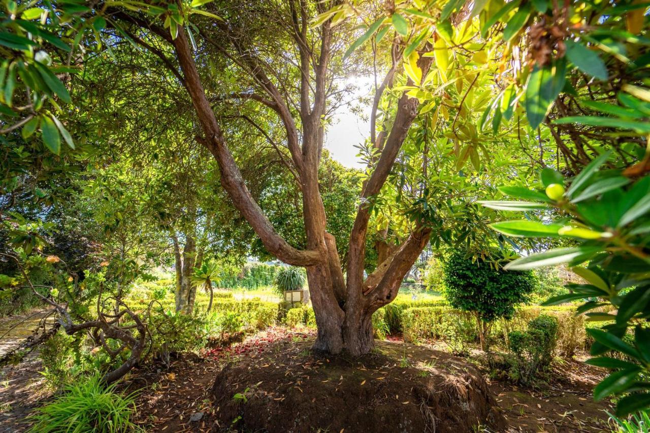 Villa Casa da Tia Clementina Santana  Esterno foto